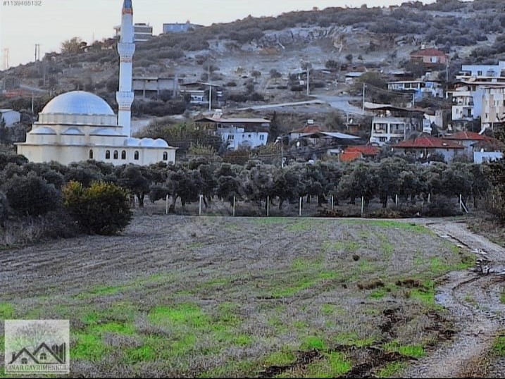 Çınar Gayrimenkul
